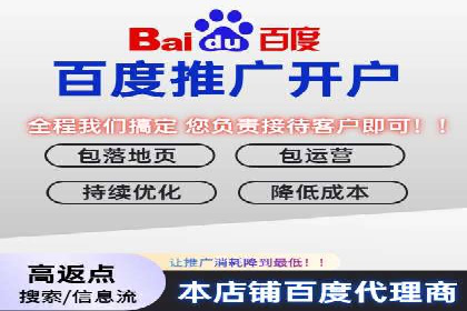 搜索引擎关键词竞价排名的策略调整与案例
